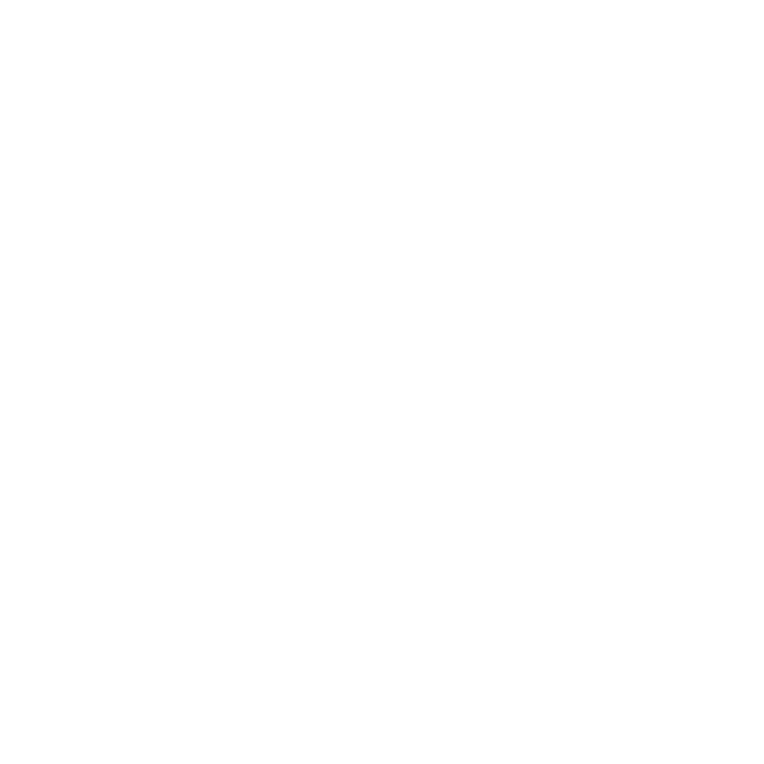 moet_chandon__